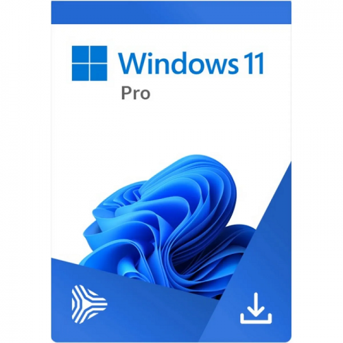 Microsoft Windows 11 Professional 64-bit, Engleza, OEM, DVD 1 Microsoft Windows 11 Professional 64-bit, Engleza, OEM, DVD