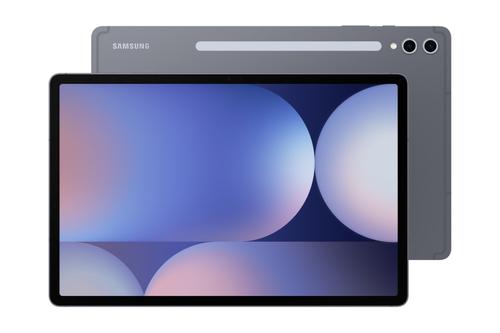 Tableta Samsung Galaxy Tab S10+ X820, Procesor MediaTek Dimensity 9300+ Octa-Core, Ecran AMOLED 2X 12.4inch, 12GB RAM, 512GB Flash, 13+8MP, Wi-Fi, Bluetooth, GPS, Android, S Pen (Gri)
