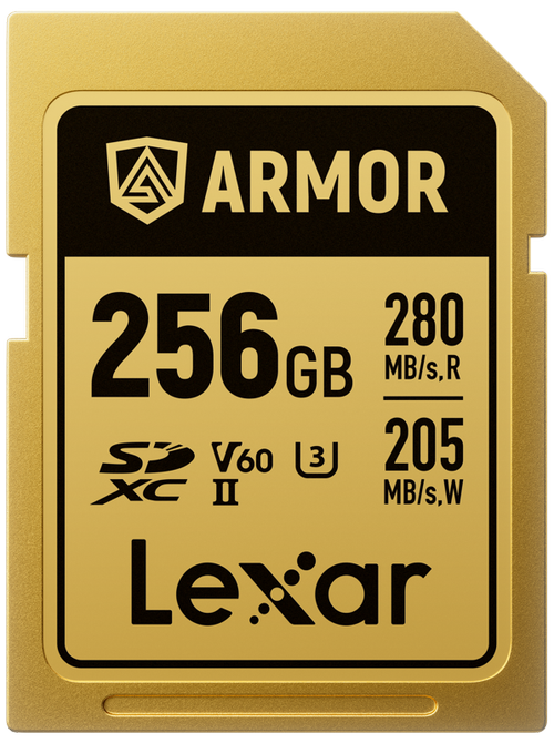 Card de memorie Lexar ARMOR Gold LSDAMGL256G-RNNNG, 256GB, SDXC, UHS-II U3, V60, Inox, IP68