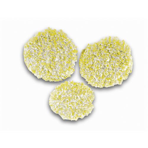 Tampoane de lustruire piatra/linoleum/pvc Karcher 2.863-198.0, 3 bucati, Compatibil cu FP 303 1 Tampoane de lustruire piatra/linoleum/pvc Karcher 2.863-198.0, 3 bucati, Compatibil cu FP 303