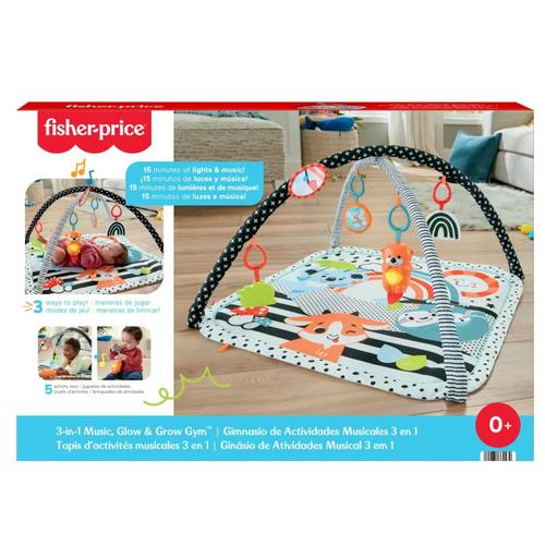 Salteluta De Activitati Fisher Price 3 In 1 Muzicala 1 Salteluta De Activitati Fisher Price 3 In 1 Muzicala